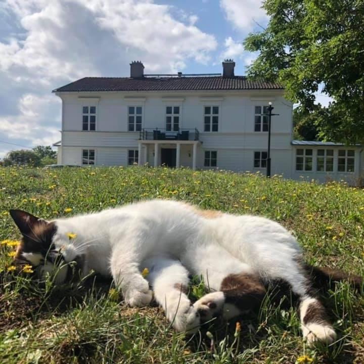 Amiralsgården Verstorp Bed & Breakfast Karlskrona Eksteriør bilde